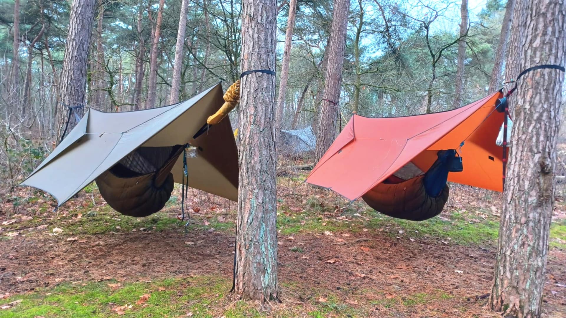 Two hammocks with tarps above them setup on trees. Two hammocks with tarps above them setup on trees.