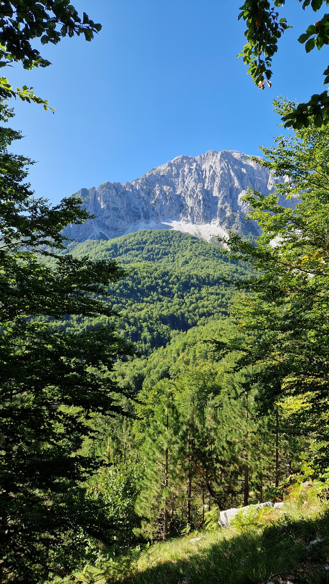 Mountain forest views from Maja Rosit trail. Mountain forest views from Maja Rosit trail.