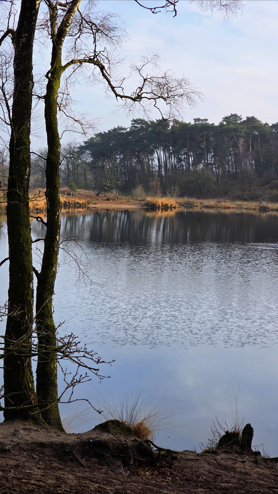 Overasselt Nature Reserve. Overasselt Nature Reserve.