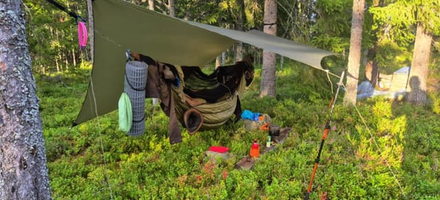 Hammock setup on the Romboleden trail Hammock setup on the Romboleden trail