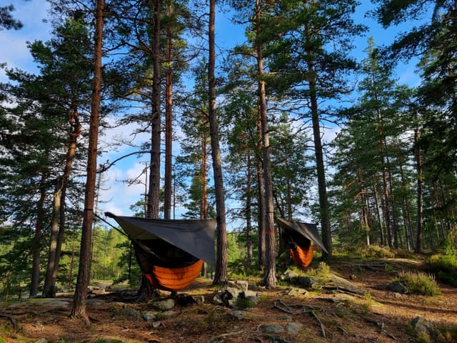 A hammock with a tarp setup close to a lake. A hammock with a tarp setup close to a lake.